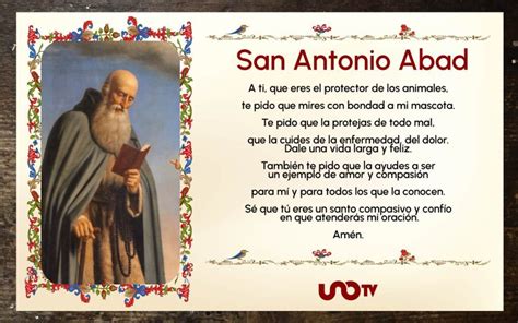 14 CONSEJOS DE SAN ANTONIO ABAD. Santo del 17 de Enero。